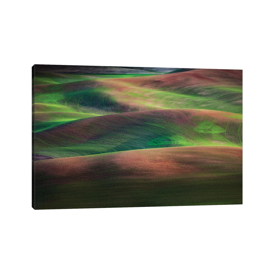 Springtime, The Palouse, Washington von Jim Nilsen - Galerie-umwickelte Leinwand Giclée auf Leinwand