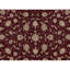 Elegance Oriental Area Rug