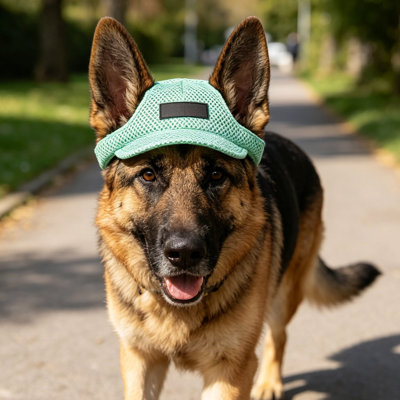 Chapeau de protection solaire pour chien avec trous d'oreille, 8,27 po x 2,56 po, vert