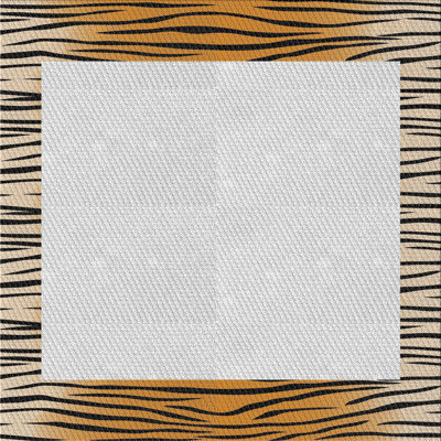 Indoor Rug