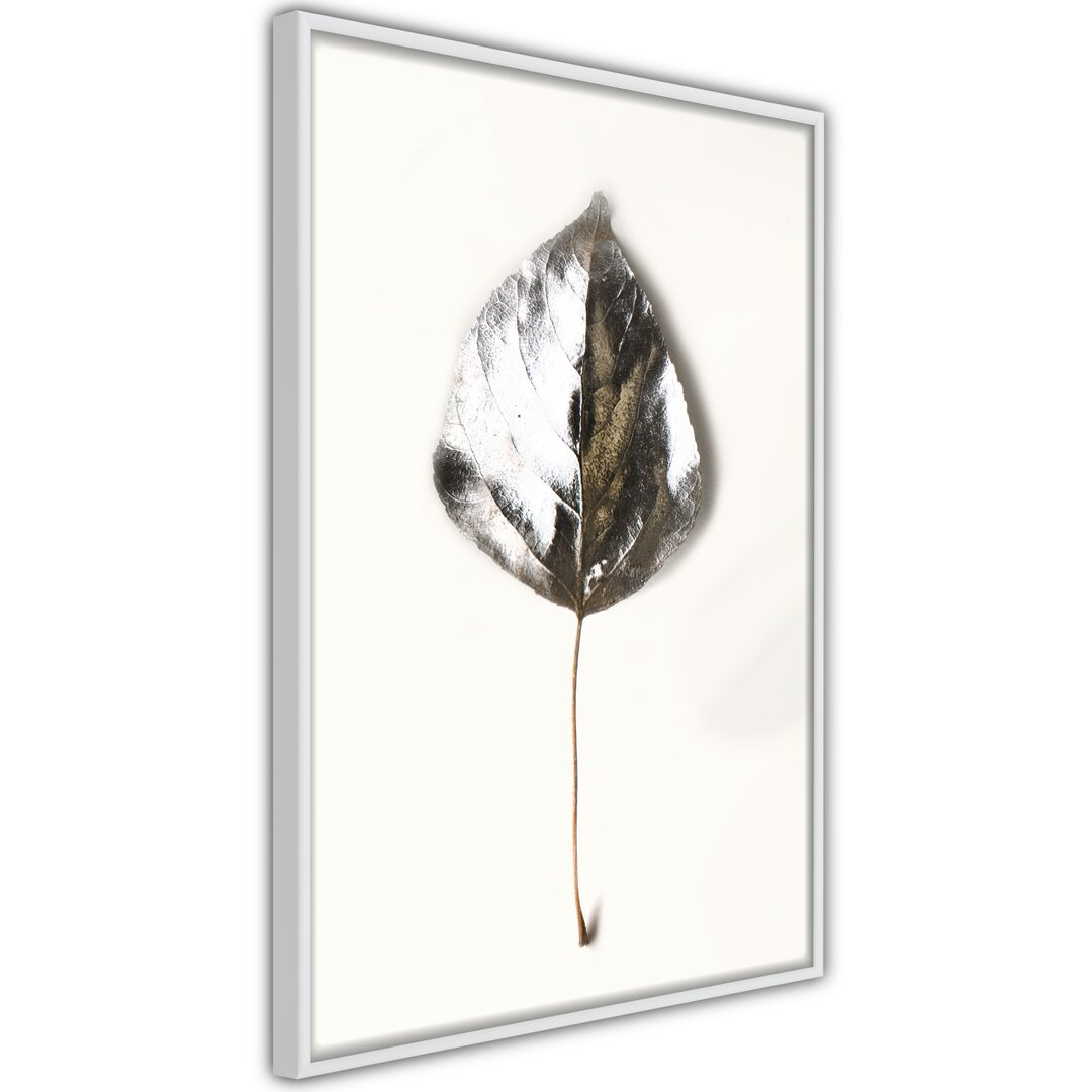 Gerahmtes Wandbild Silvery Leaf