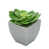 Argent