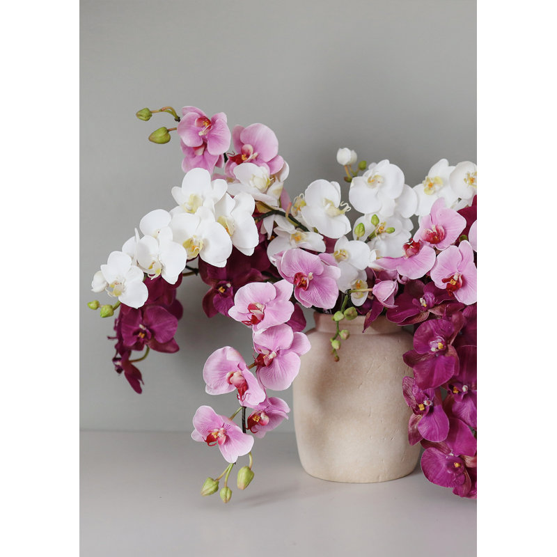 Green Phalaenopsis Orchid 33", White, 34" H x 3" W