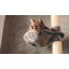 Floor to Ceiling Cat Tree Adjustable-71023650