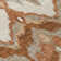 Alleson Indoor Rug