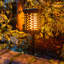 Miamisburg 73cm Solar Powered Integrated LED Square / Rectangular Lantern
