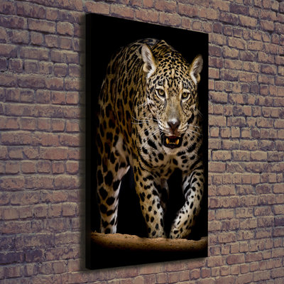 Jaguar - Wrapped Canvas Print