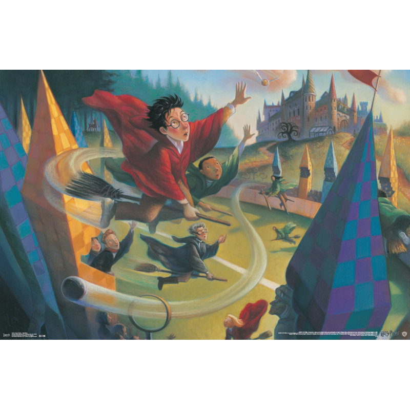 Impression sur papier harry potter-quidditch