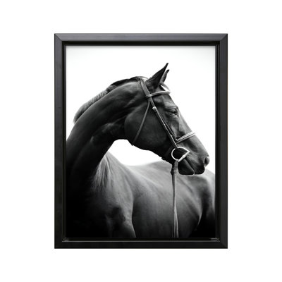Portrait de cheval n ° 2