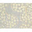 Effervescence Hand Woven Silk and Wool Polka Dot Area Rug-40706250