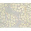 Effervescence Polka Dots Area Rug in Beige/Gray-40706250