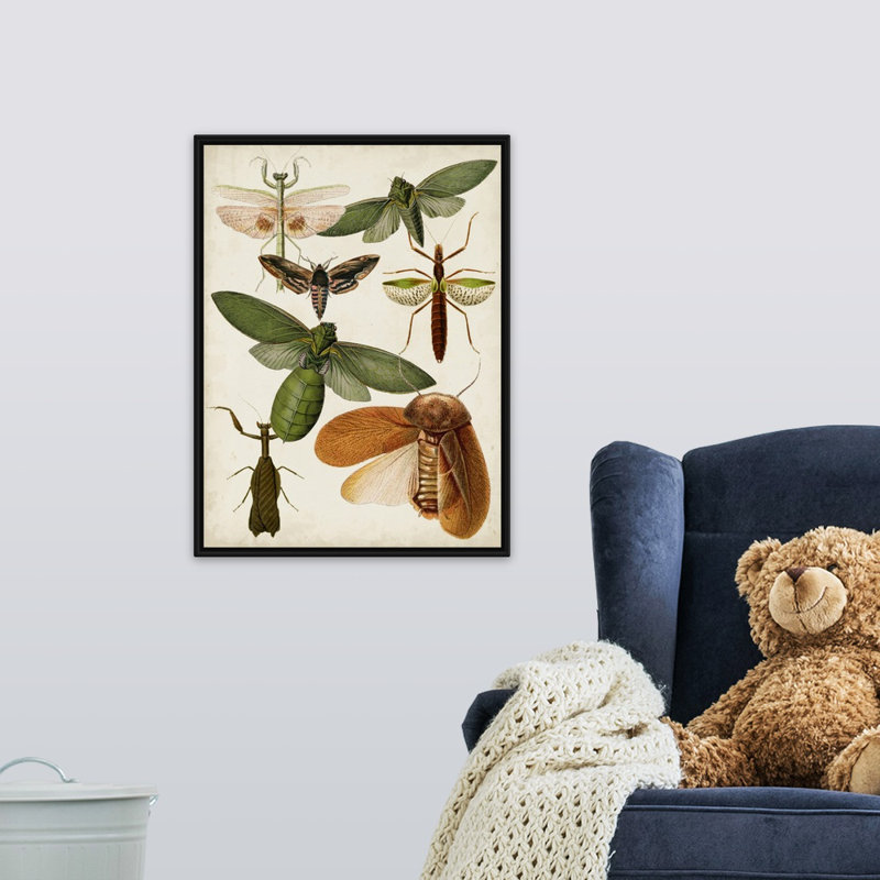 « flying bugs kids », art encadré, Cadre pour toile flottant noir, H 24 po x l 18 po x P 1,2 po