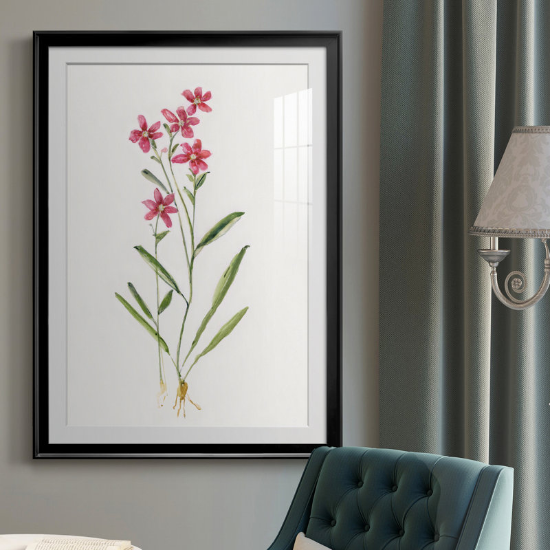Delicate Pink II - peinture encadrée, H 30,5 po x l 42,5 po x P 1,5 po, Noir