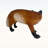 Lifelike Red Fox Figurine, 19.69\