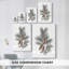 Toile tendue Frostlit Star Hearth-Premium Gallery-1951131543