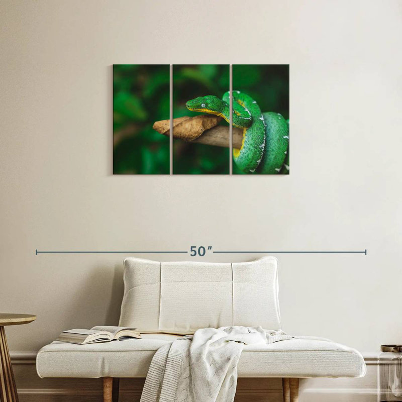 Emerald Tree Snake, 20" H x 33" W