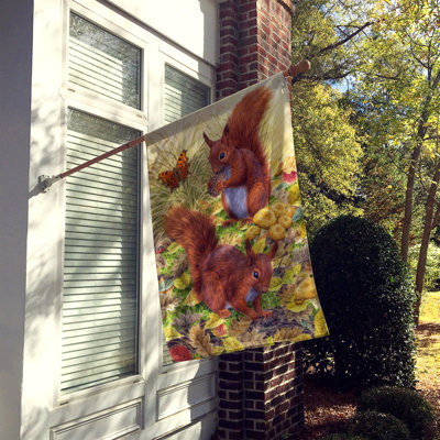 Berke Double Sided 40'' H x 28'' W Polyester Animal House Flag