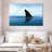 Crowle Shark Fin-111981345