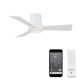 Hug 44'' 3 Blade Ceiling Fan with LED Light Kit