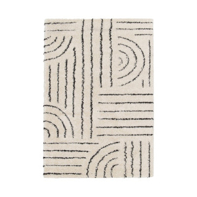 Takehito Oriental Area Rug