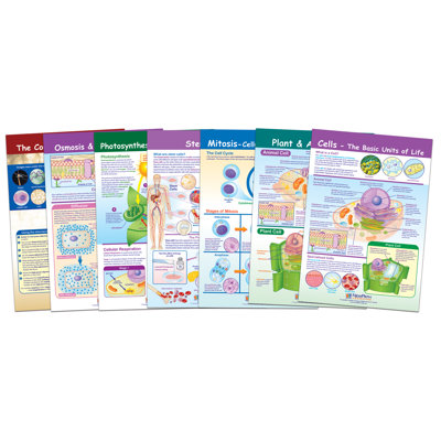 Cell Bulletin Board Chart Set