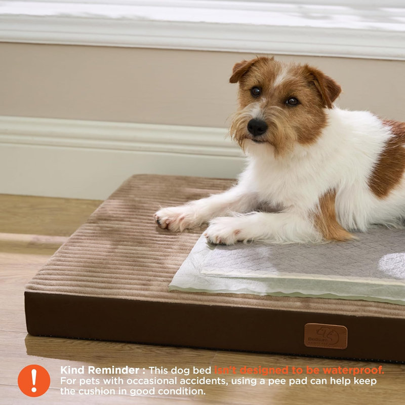Lit pour chien ComfyFleece Cosy Crate, L (H 2,8 po x l 35 po x P 22 po), Café/crème