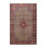 Oriental Indoor Rug