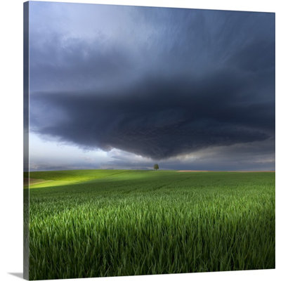 1x Franz Schumacher - Wrapped Canvas Photograph