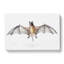 Bat Illustration by John Edward Gray - Wrapped Canvas-55304275
