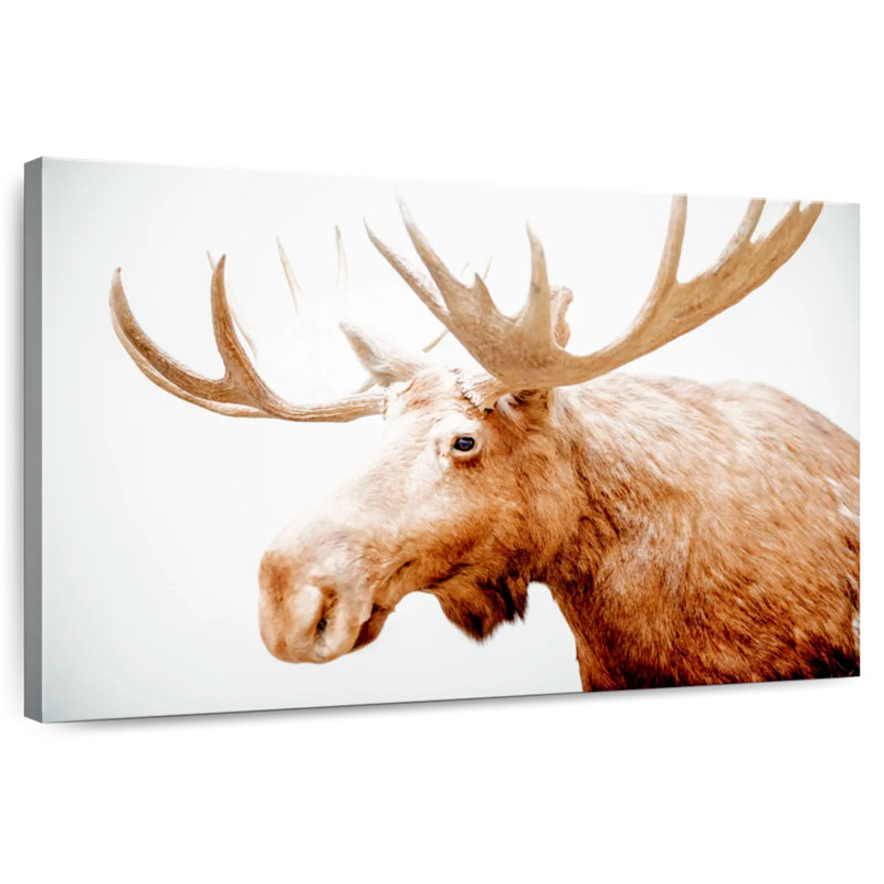 Brampt Moose Side Profile, 30" H x 45" W