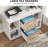 Large Mobile Lateral File Cabinet with 2 Drawers