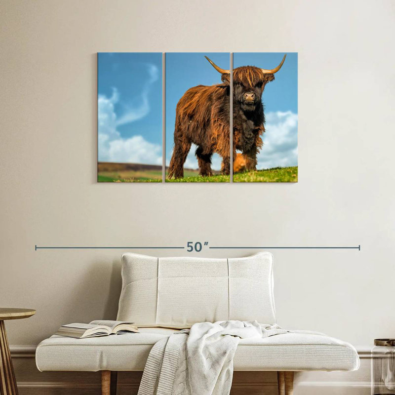 Brampt Dark Haired Highland Cow, 24" H x 38" W