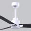 Alessandra Outdoor Downrod Ceiling Fan-1676708268-1676708416