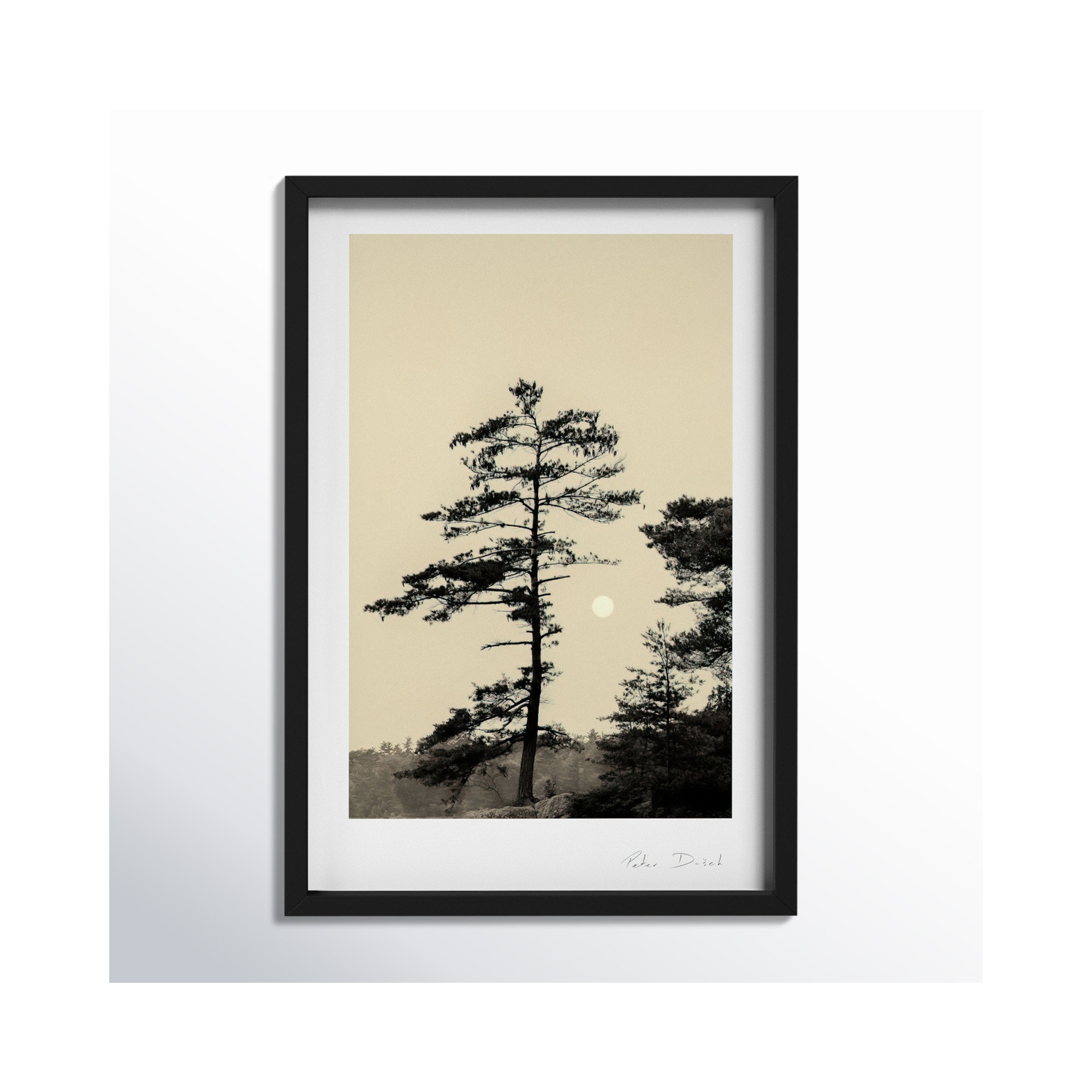 Serenity by Peter Dušek, Black, 20" H x 14" W x 1.25" D