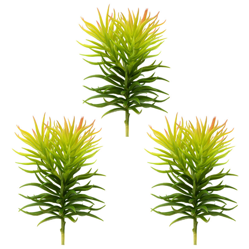 Vaporisateur artificiel Crassula Tetragona