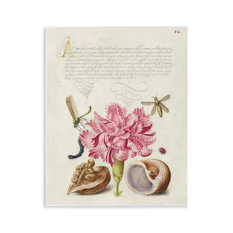 Art mural antique avec fleurs et escargots par June Erica Vess