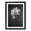 Pretty White Orchid - Framed Print-55768057-55768061