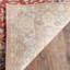 Tapis performance oriental Broomhedge Bijar-19818031