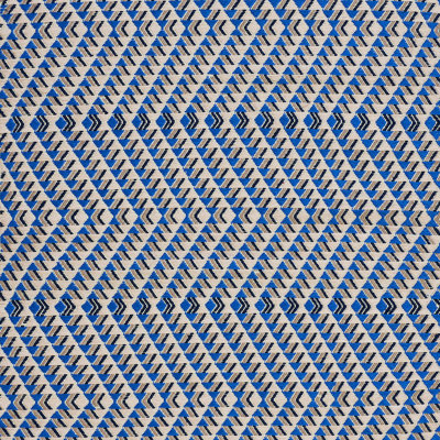 Schumacher x A Rum Fellow Amates Hand Woven Brocade Fabric