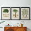Arbre antique avec fruit - galerie d'art sur toile tendue encadrée sur mesure - 3 pièces-1453359135-1453359133
