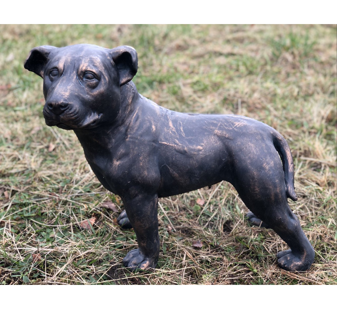 Larae Dog Weather Resistant Concrete Garden Statue