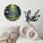 Mushroom Forest Clock