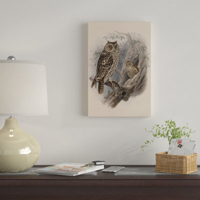 «Tree Owls, 1902», impression sur toile