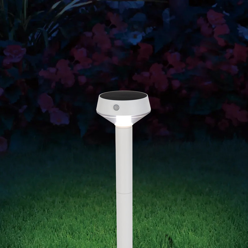 Éclairage de sentier ou de clôture à DEL avec détecteur de mouvement infrarouge et capteur de lumière du jour à 8 lumières à charge complète 3000K East Grove Home EcoPath Solar Collection