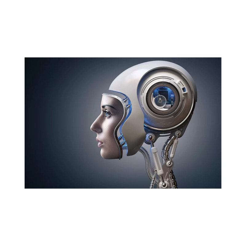 Next Generation Cyborg by Johan Swanepoel - Wrapped Canvas Gallery-Wrapped Canvas Giclée, 66.04 cm H x 45.72 cm W