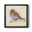 Oiseau variété I - reproduction de cadre photo sur toile-1464860883-1464860890