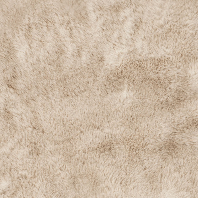 Tapis beige light Taneytown, Rectangulaire 3 pi x 5 pi
