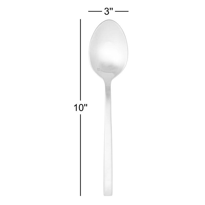 Arezzo Brushed Serving Spoon
