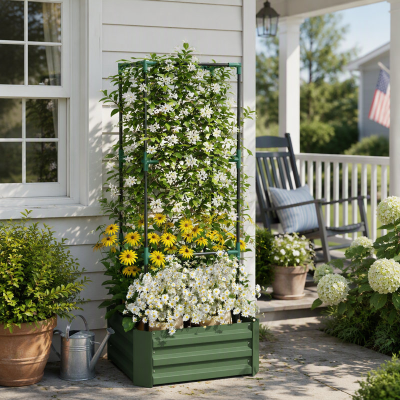 55.1 in. H x 24 in. W Trellis