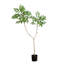 3,5 pi Sumac artificiel-2104102097-2104102094
